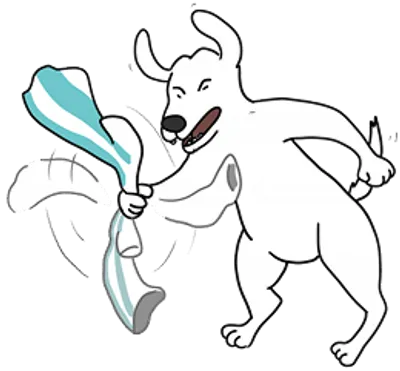 Section
